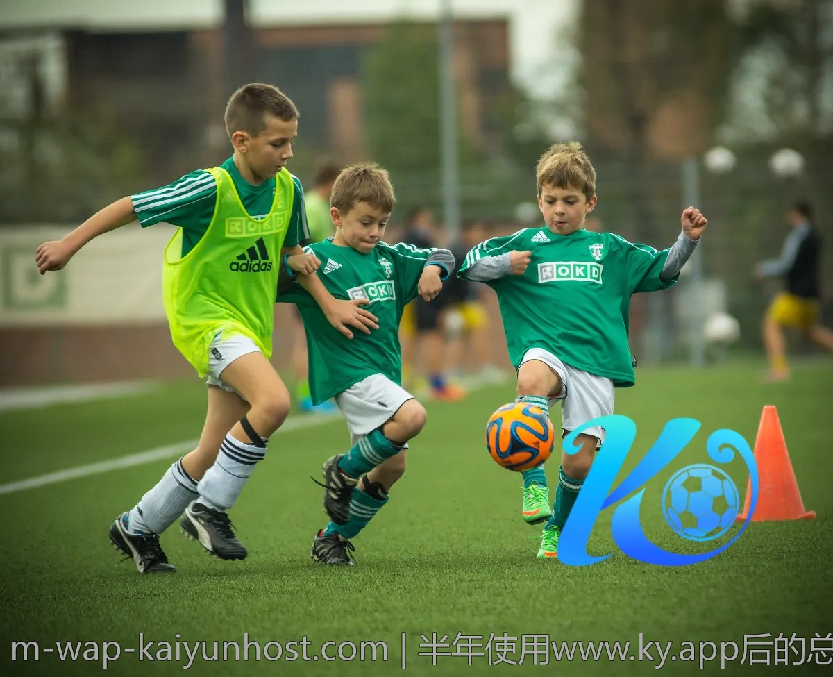 半年使用www.ky.app后的总结与反思