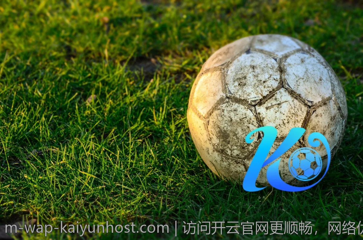 访问开云官网更顺畅，网络优化技巧分享