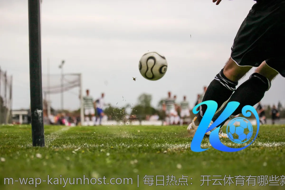 每日热点：开云体育有哪些新动态？